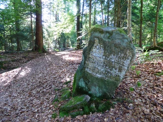 Der Grenzweg an der Buchwaldhöhe