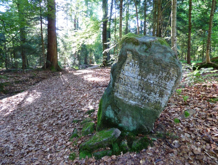 Der Grenzweg an der Buchwaldhöhe