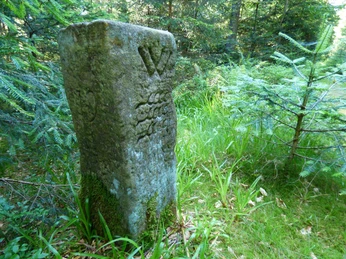 Grenzstein zwischen Buchwaldhöhe und Spindelhau