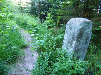 Grenzstein zwischen Spindelhau und Auerhahnköpfle