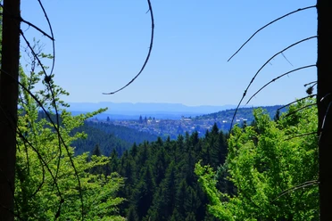 Ausblick vom Gruberkopf Richtung Freudenstadt