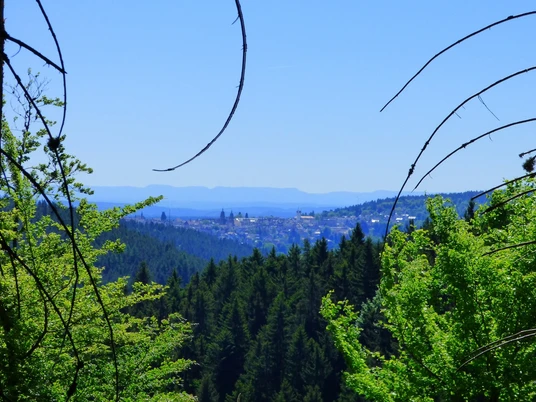 Ausblick vom Gruberkopf Richtung Freudenstadt
