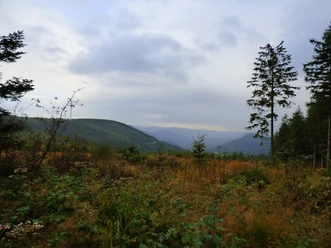Ausblick vom Westweg ins Renchtal