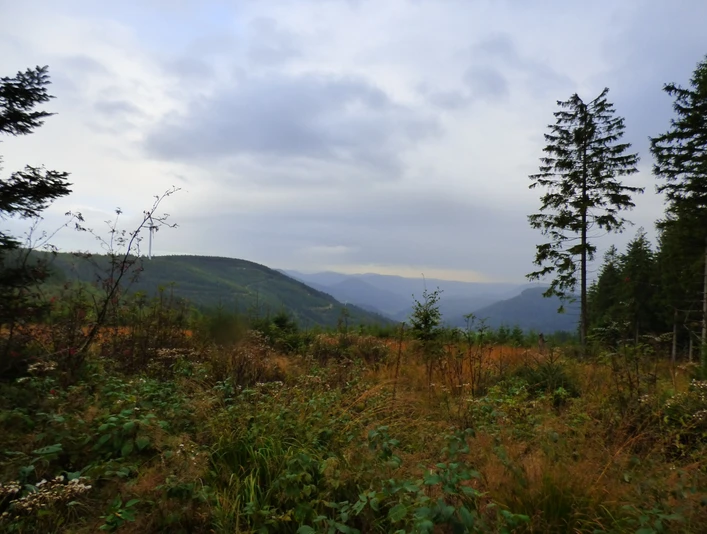 Ausblick vom Westweg ins Renchtal