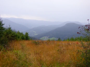 Ausblick vom Westweg ins Renchtal