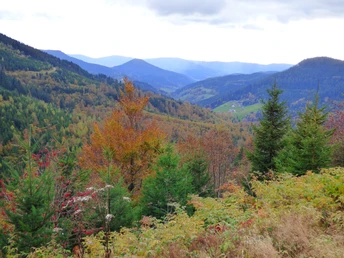 Ausblick ins Renchtal
