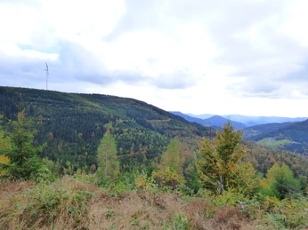 Blick vom Renchtalsteig zum Windrad Alexanderschanze