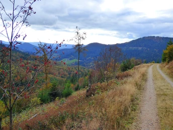 Der Renchtalsteig im Herbst mit Blick ins Tal