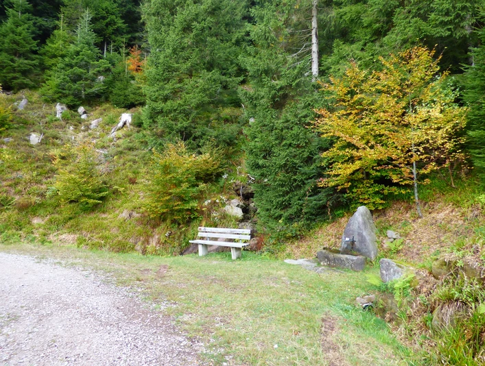Die Rench-Quelle mit Brunnen am Renchtalsteig