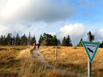 Naturschutzgebiet Schliffkopf