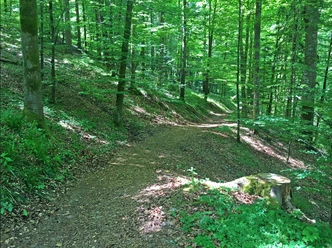 Klösterle Schleife Wanderweg