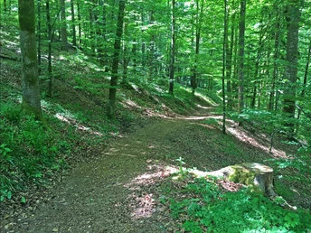 Klösterle Schleife Wanderweg