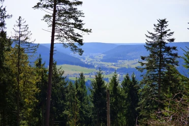 Ausblick Richtung Baiersbronn vom Standort Blockhüttenwegle