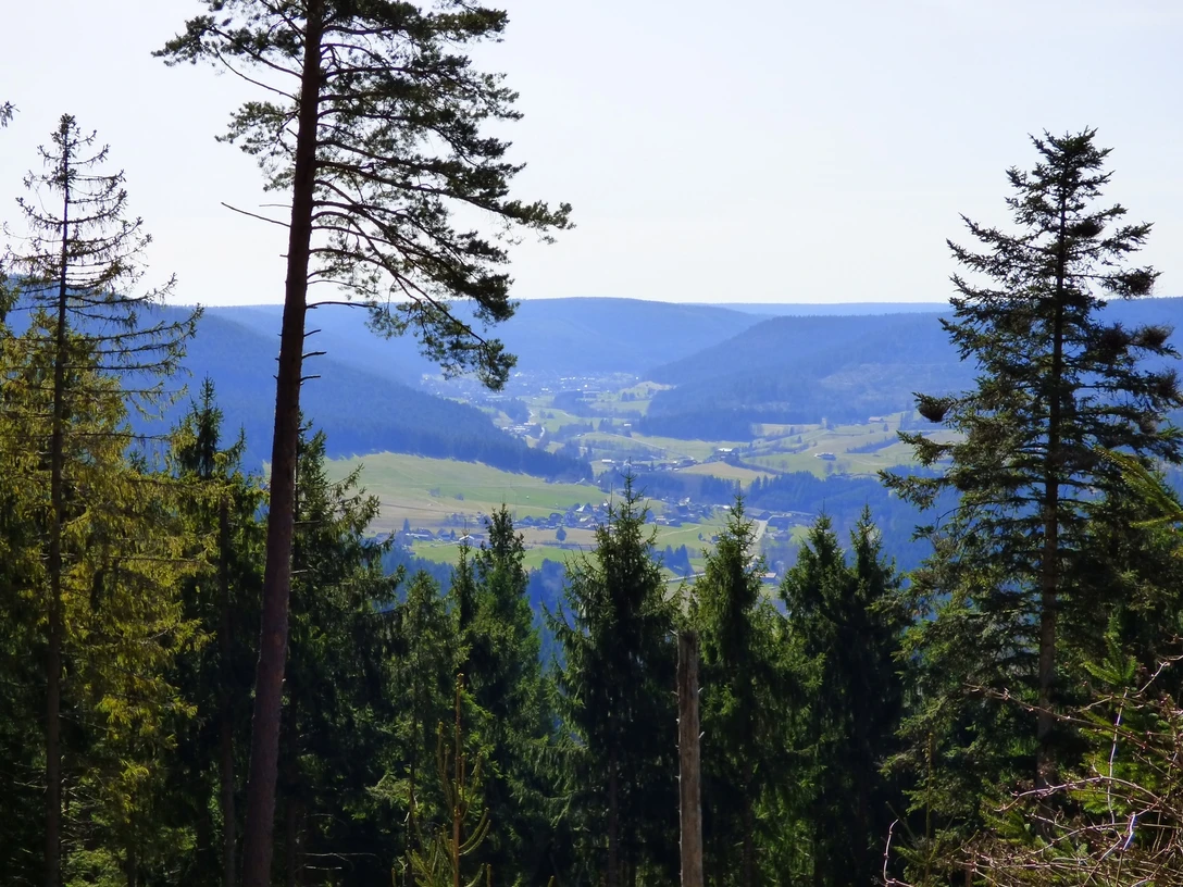 Ausblick Richtung Baiersbronn vom Standort Blockhüttenwegle