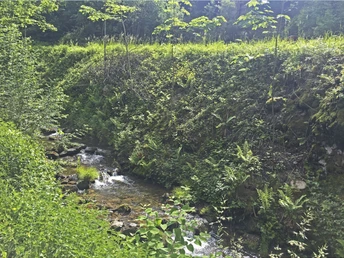 Rankachbach bei der Grube Clara