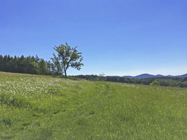 Wanderweg am Bergbaudenkmal