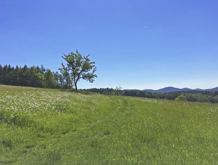 Wanderweg am Bergbaudenkmal