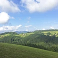Aussicht über den Schwarzwald