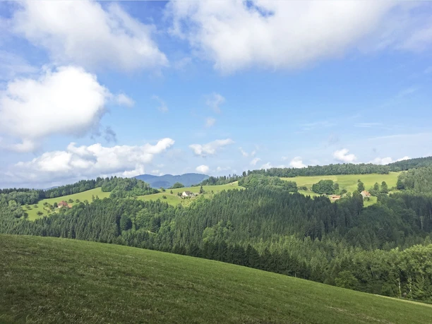 Aussicht über den Schwarzwald
