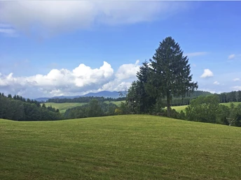 Aussicht über den Schwarzwald