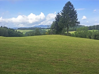 Aussicht über den Schwarzwald