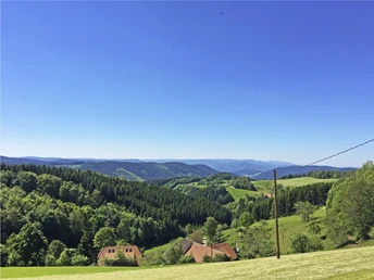 Aussicht über den Schwarzwald