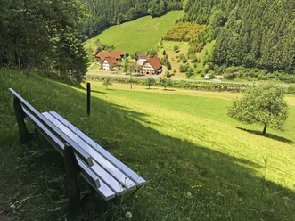 Aussichtsbank Wolftal - Oberwolfach