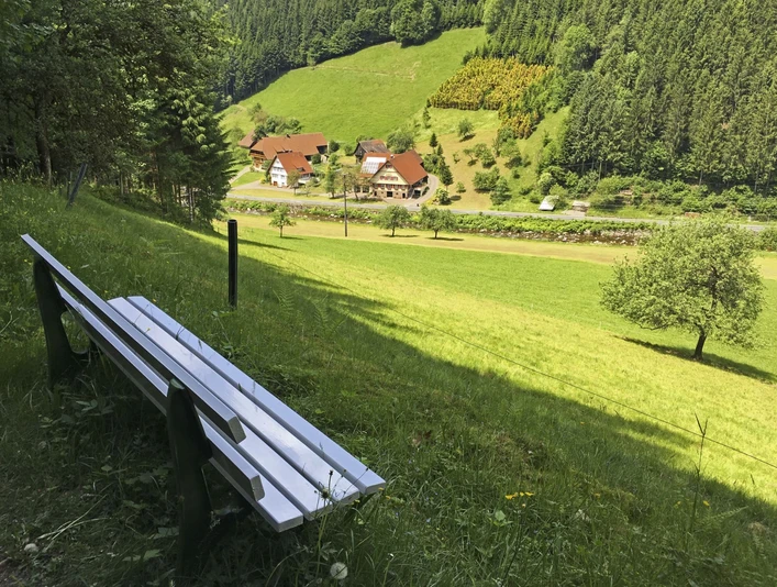 Aussichtsbank Wolftal - Oberwolfach