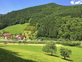Aussichtsbank Wolftal - Oberwolfach