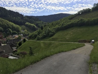 Zuwegung Grillplatz Bad Rippoldsau