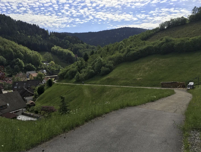 Zuwegung Grillplatz Bad Rippoldsau