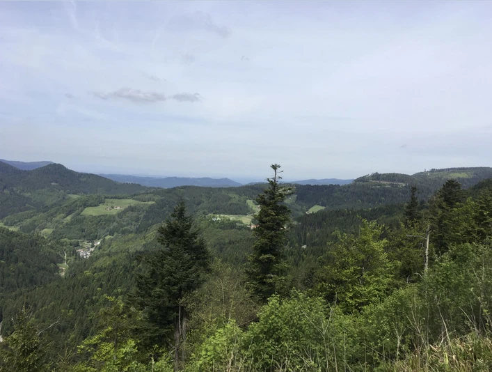 Aussicht ins Renchtal und über den Schwarzwald