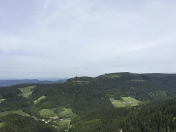 Aussicht ins Renchtal und über den Schwarzwald