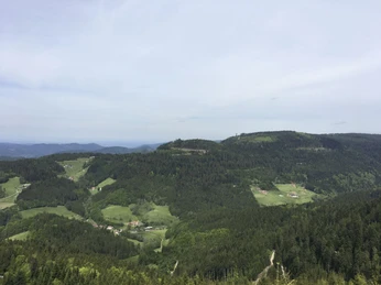 Aussicht ins Renchtal und über den Schwarzwald