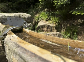 Brunnen an der Mühle Bad Rippoldsau