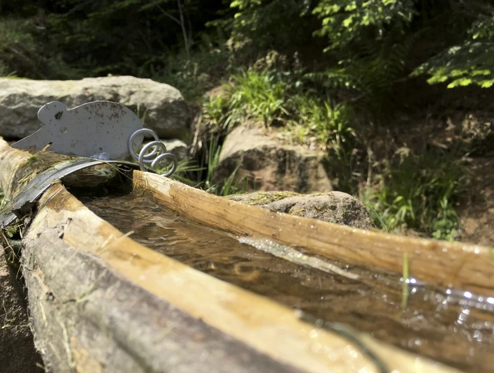 Brunnen an der Mühle Bad Rippoldsau