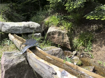 Brunnen an der Mühle Bad Rippoldsau