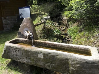 Brunnen an der Mühle Bad Rippoldsau