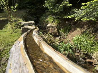 Brunnen an der Mühle Bad Rippoldsau