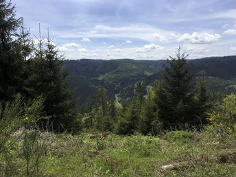 Aussicht Heimenhöhe ins Wolftal