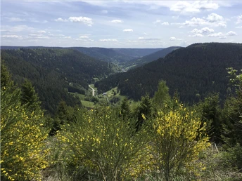 Aussicht Heimenhöhe ins Wolftal