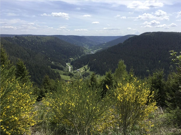 Aussicht Heimenhöhe ins Wolftal