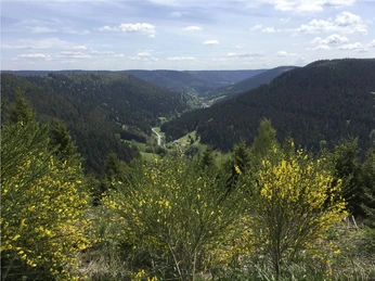 Aussicht Heimenhöhe ins Wolftal