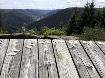 Aussicht Heimenhöhe ins Wolftal mit Sitzbank