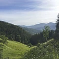 Aussicht ins Wolftal