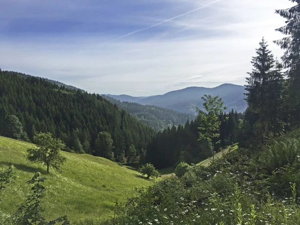 Aussicht ins Wolftal