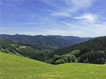 Aussicht ins Wolftal