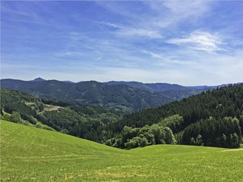 Aussicht ins Wolftal