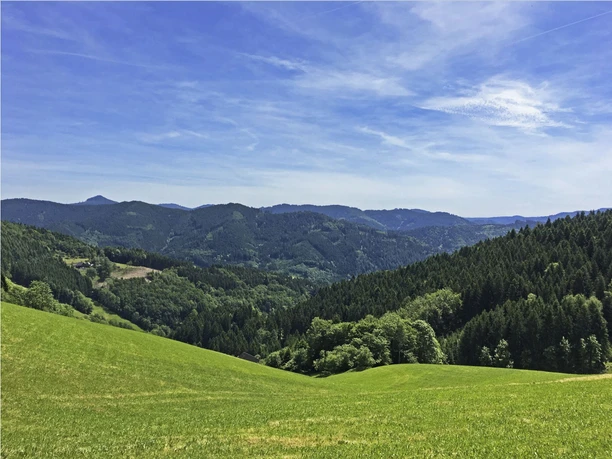Aussicht ins Wolftal