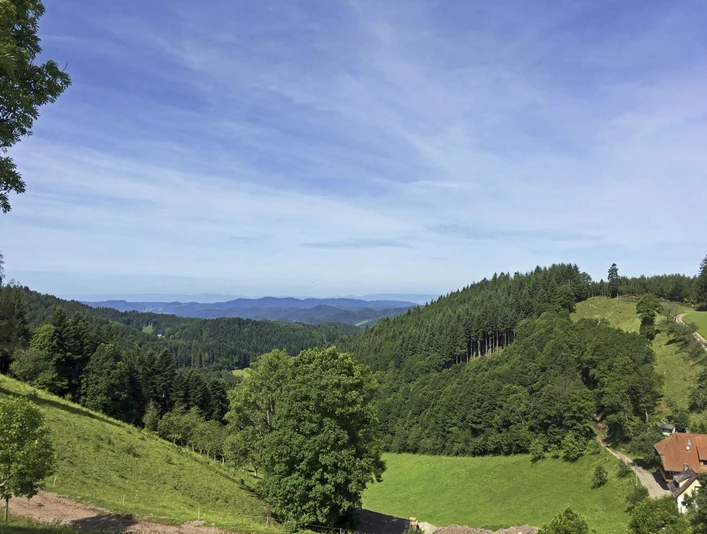 Aussicht am Harkhof in Richtung Vogesen